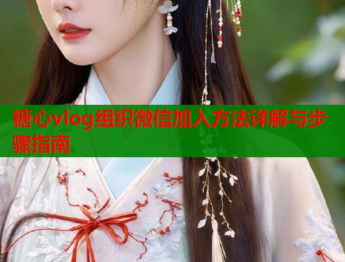 糖心vlog组织微信加入方法详解与步骤指南  第2张
