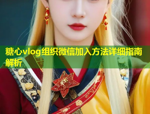 糖心vlog组织微信加入方法详细指南解析  第2张