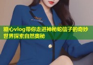糖心vlog带你走进神秘蛇信子的奇妙世界探索自然奥秘